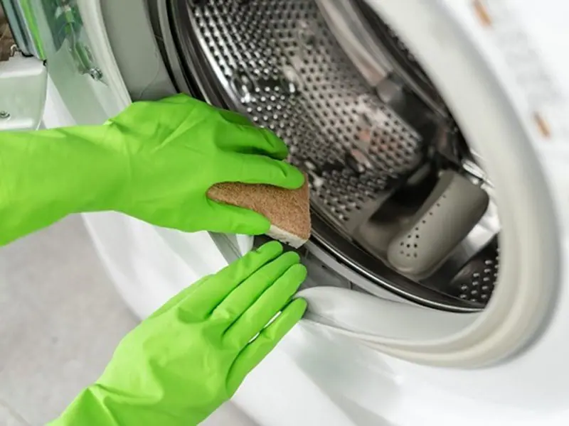 کپک زدن داخل لاستیک ماشین لباسشویی کنوود